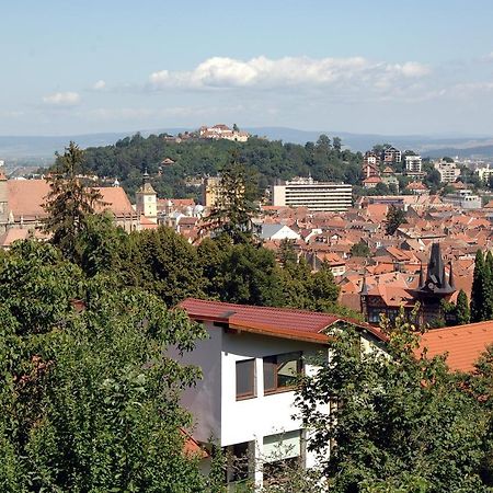 Brasov Valley Apartman Kültér fotó