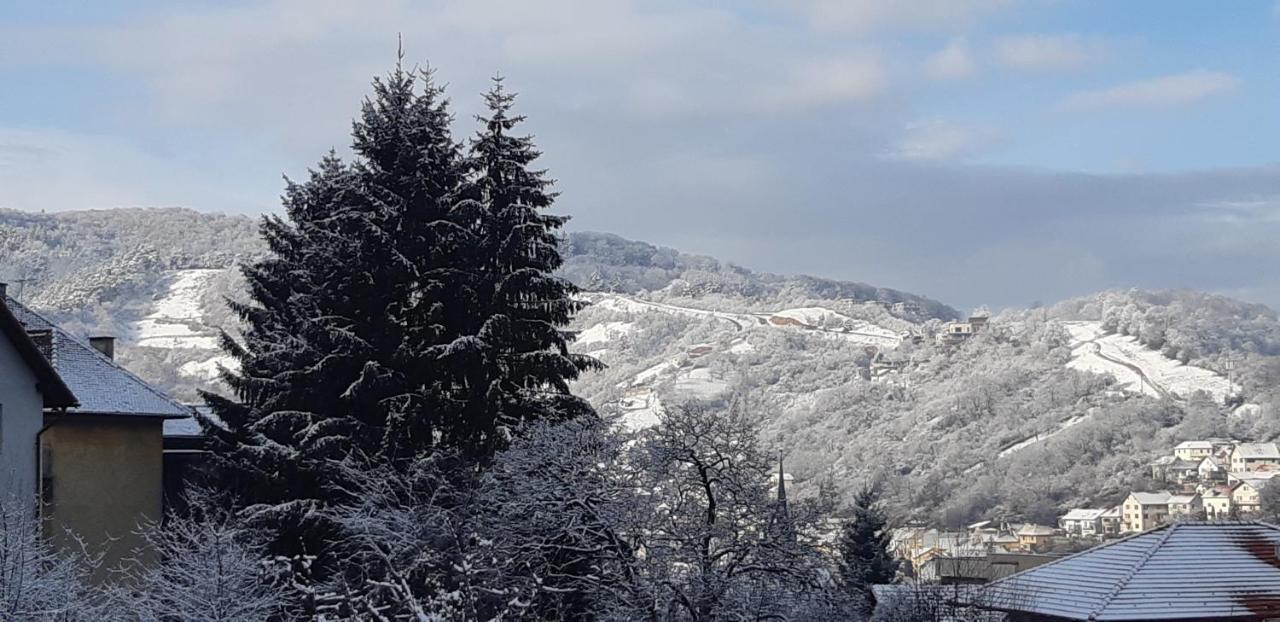 Brasov Valley Apartman Kültér fotó