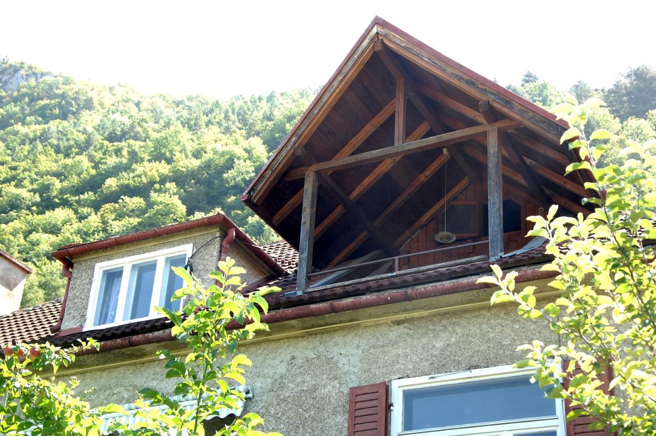 Brasov Valley Apartman Kültér fotó