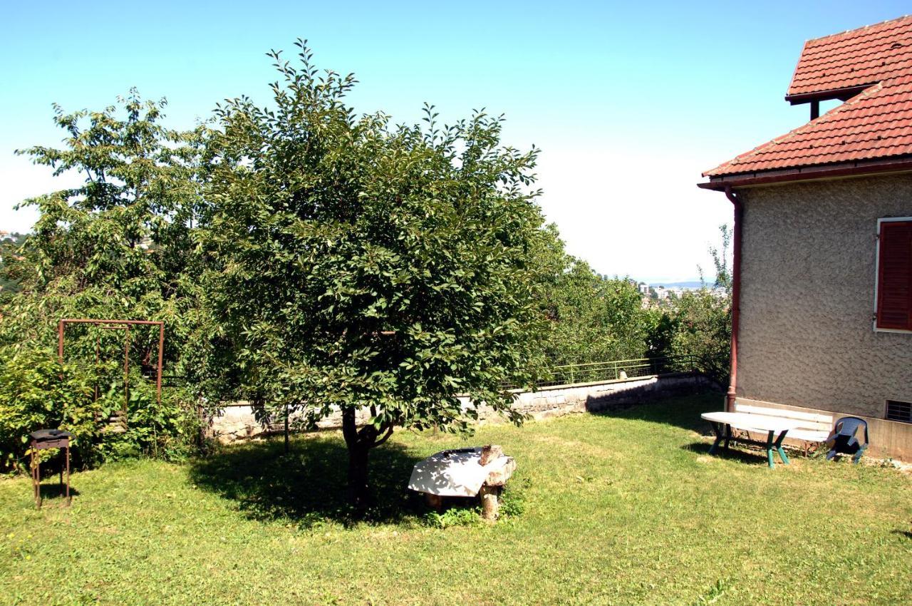 Brasov Valley Apartman Kültér fotó